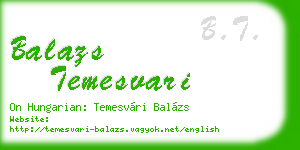 balazs temesvari business card